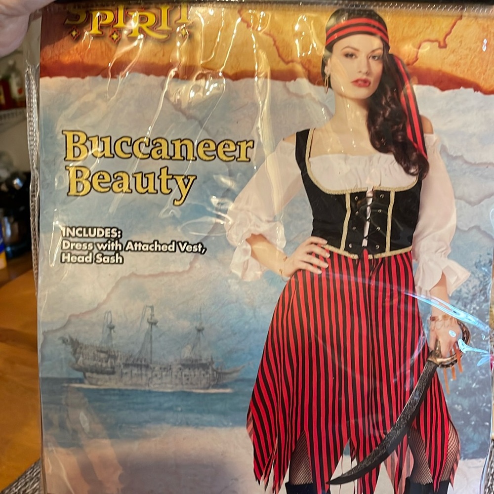 Buccaneer beauty Halloween costume